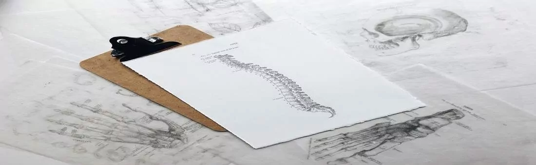 Imagem ilustrativa sobre Quiropraxia